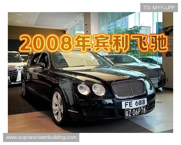 飞驰官方旗舰店，畅享高品质汽车用品的最佳选择